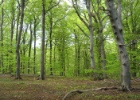 Duitsland Elly (16)